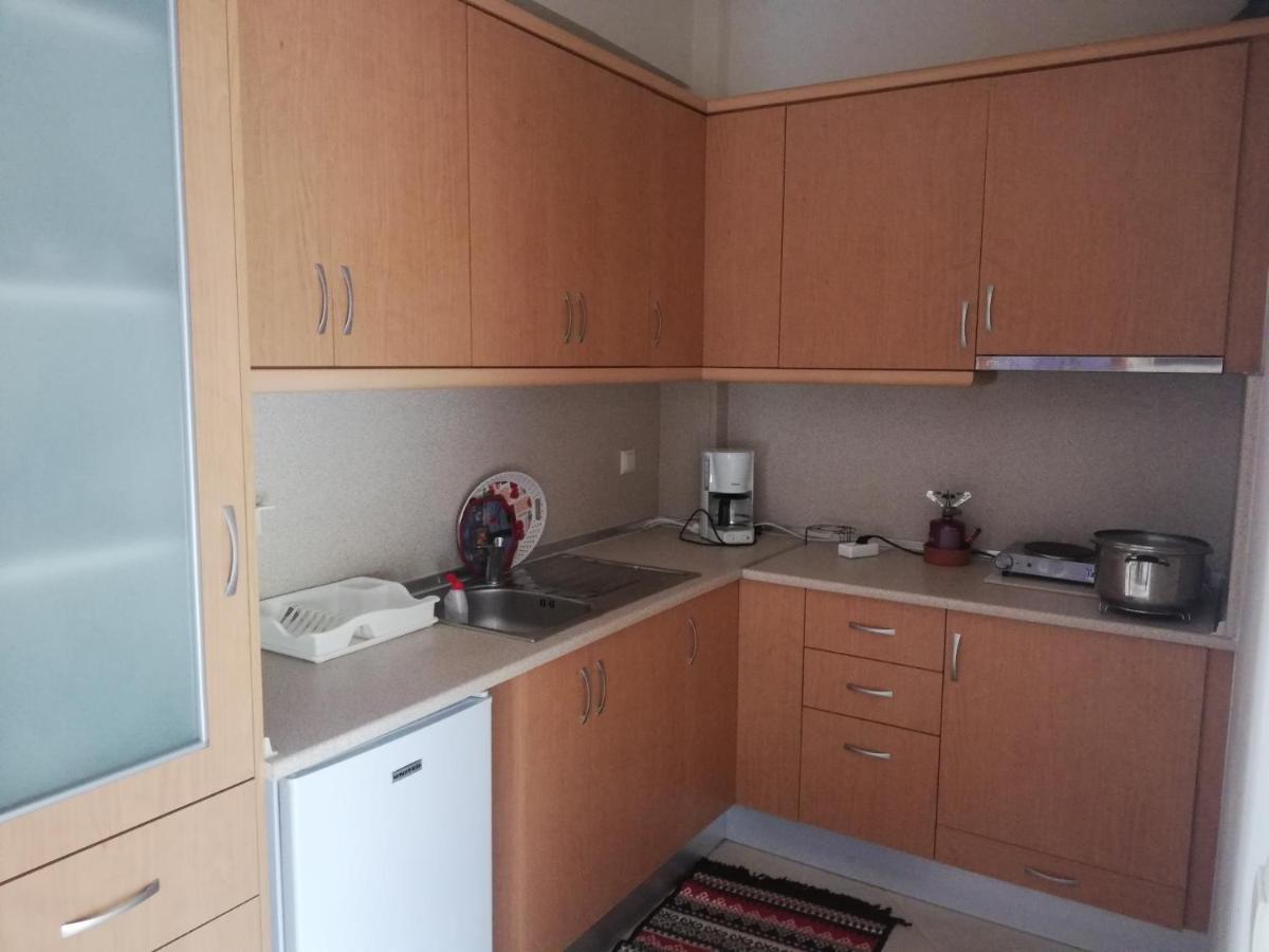 Apartmán Σπιτι Στουσ Προποδεσ Του Ολυμπου Leptokaria Exteriér fotografie